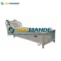 High Quality Automatic Fruit Washing Machine And Sorting Fruit Washer Machine